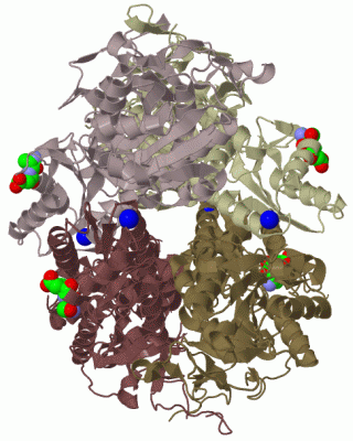 Image Biol.Unit 1 - manually