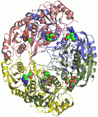 Image Asym./Biol. Unit - manually