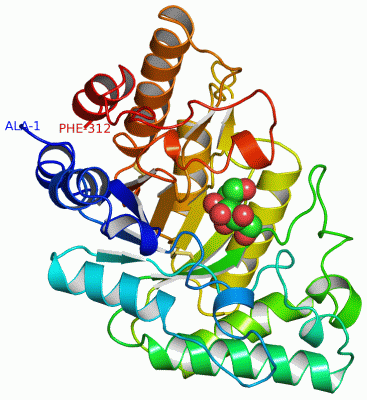 Image Asym./Biol. Unit - manually