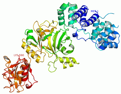 Image Asym./Biol. Unit - manually