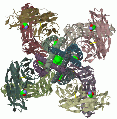 Image Biol.Unit 1 - manually