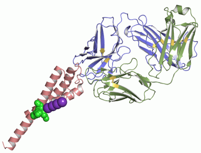 Image Asym.Unit - manually