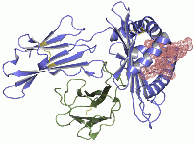 Image Asym./Biol. Unit - manually