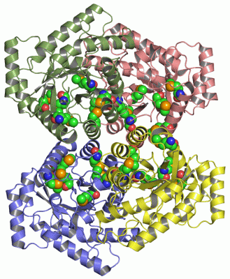 Image Asym./Biol. Unit - manually