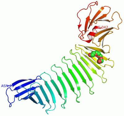 Image Asym./Biol. Unit - manually