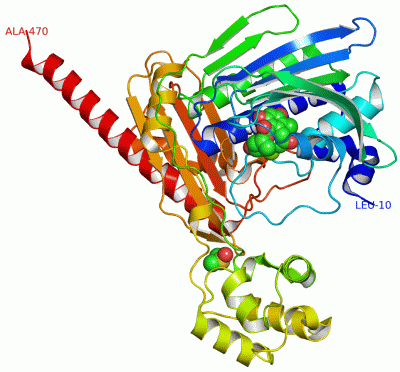 Image Asym./Biol. Unit - manually