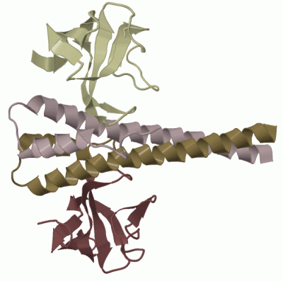 Image Biol.Unit 1 - manually