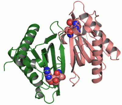 Image Asym./Biol. Unit - manually