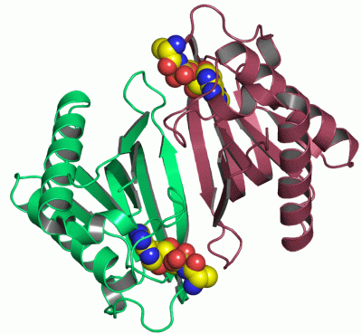 Image Asym./Biol. Unit - manually