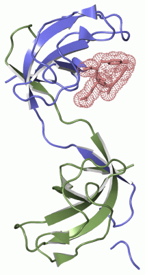 Image Asym./Biol. Unit - manually