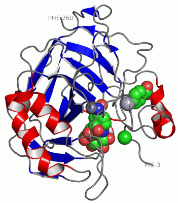 Image Asym./Biol. Unit - manually