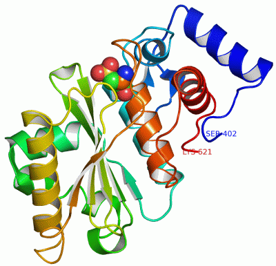 Image Asym./Biol. Unit - manually