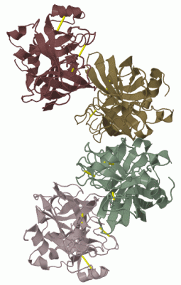 Image Biol.Unit 1 - manually