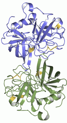 Image Asym.Unit - manually