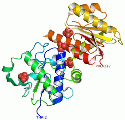 Image Asym./Biol. Unit - manually