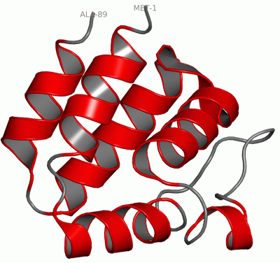 Image NMR Structure - manually