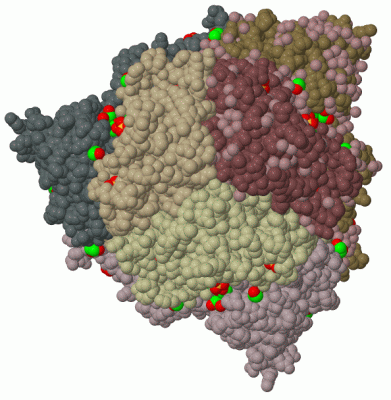 Image Biol.Unit 1 - manually