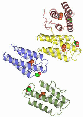 Image Asym.Unit - manually