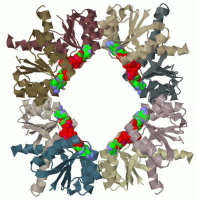 Image Biol.Unit 1 - manually