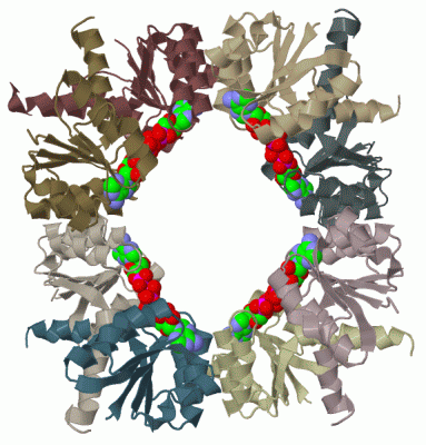 Image Biol.Unit 1 - manually