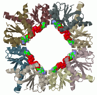 Image Biol.Unit 1 - manually