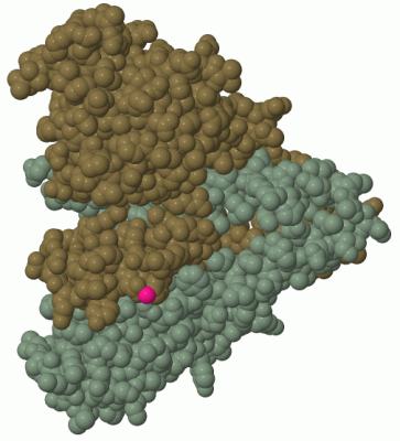 Image Biol.Unit 1 - manually