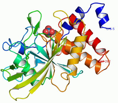 Image Asym./Biol. Unit - manually