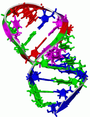 Image NMR Structure - manually