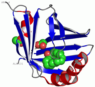 Image Asym./Biol. Unit - manually