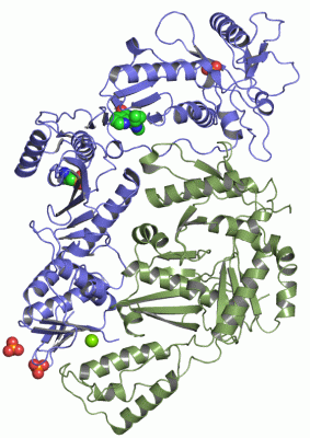 Image Asym./Biol. Unit - manually