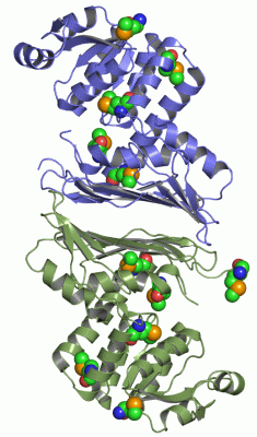 Image Asym./Biol. Unit - manually