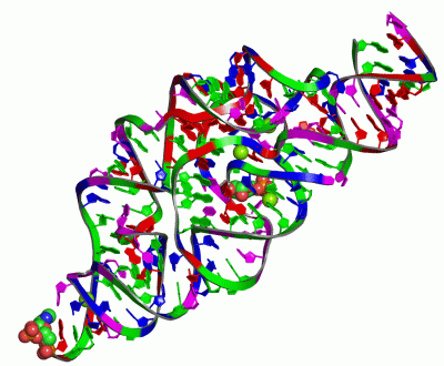 Image Asym./Biol. Unit - manually