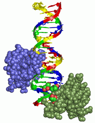 Image Asym./Biol. Unit - manually