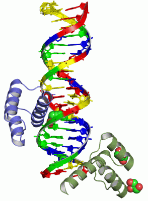 Image Asym./Biol. Unit - manually