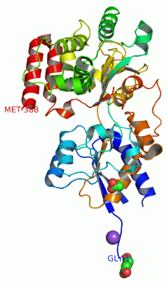 Image Asym./Biol. Unit - manually