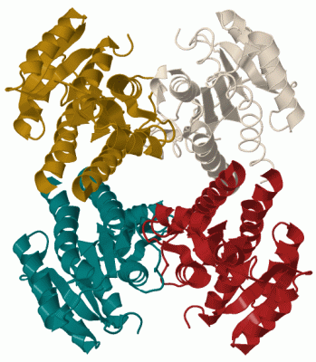 Image Biol.Unit 1 - manually