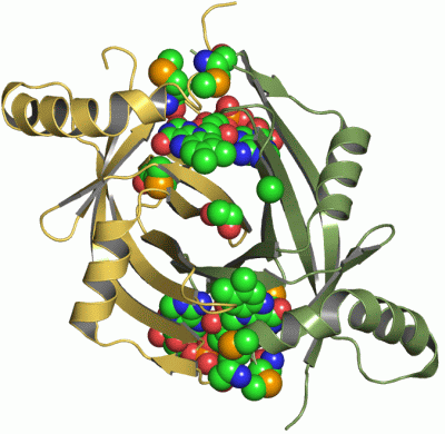 Image Asym./Biol. Unit - manually