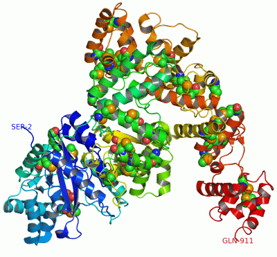 Image Asym./Biol. Unit - manually