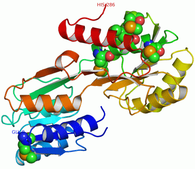 Image Asym./Biol. Unit - manually