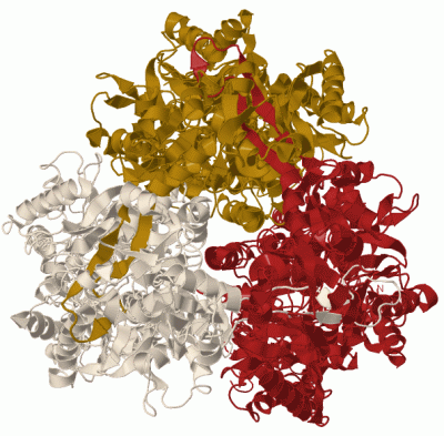 Image Biol.Unit 1 - manually