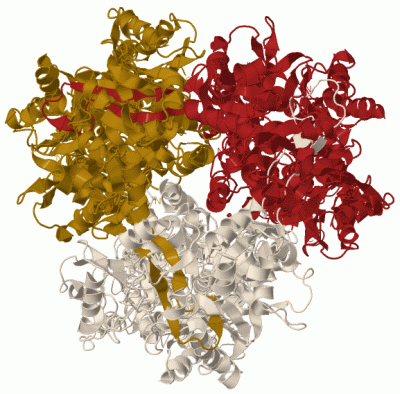 Image Biol.Unit 1 - manually