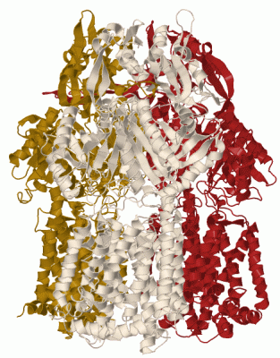 Image Biol.Unit 1 - manually