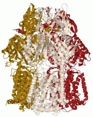 Image Biol.Unit 1 - manually