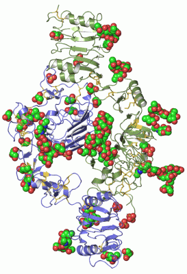 Image Asym./Biol. Unit - manually