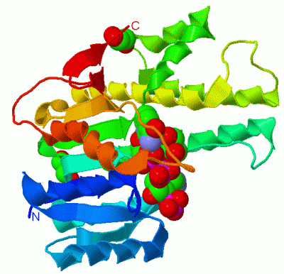 Image Asym./Biol. Unit - manually