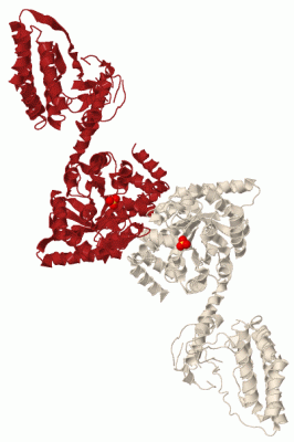 Image Biol.Unit 1 - manually