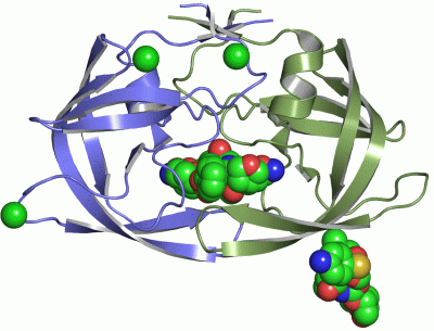 Image Asym./Biol. Unit - manually