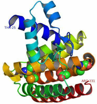 Image Asym./Biol. Unit - manually