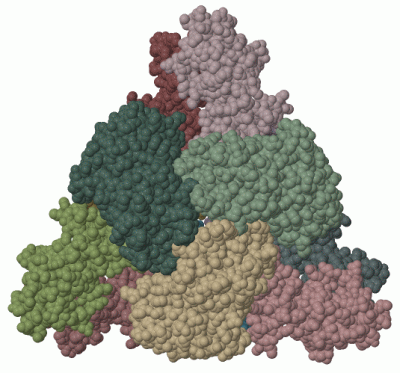 Image Biol.Unit 1 - manually