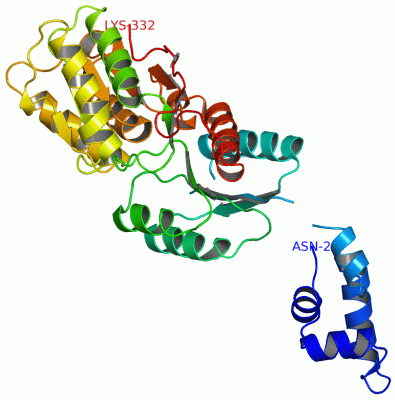 Image Asym./Biol. Unit - manually